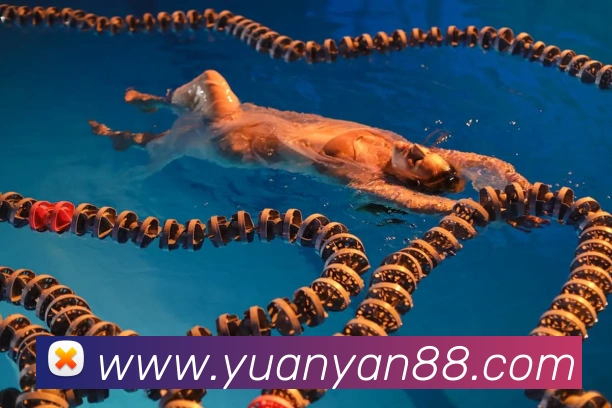 9游会官网平台生态图